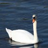 Meine Fotos-0001